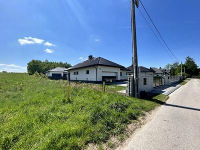 image50458369